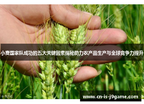 小麦国家队成功的五大关键因素揭秘助力农产品生产与全球竞争力提升