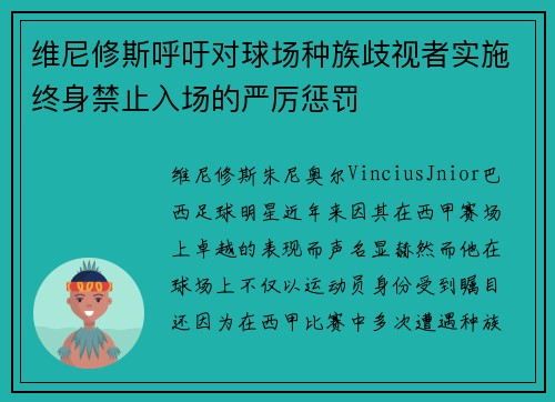 维尼修斯呼吁对球场种族歧视者实施终身禁止入场的严厉惩罚 维尼修斯呼吁对球场种族歧视者实施终身禁止入场的严厉惩罚